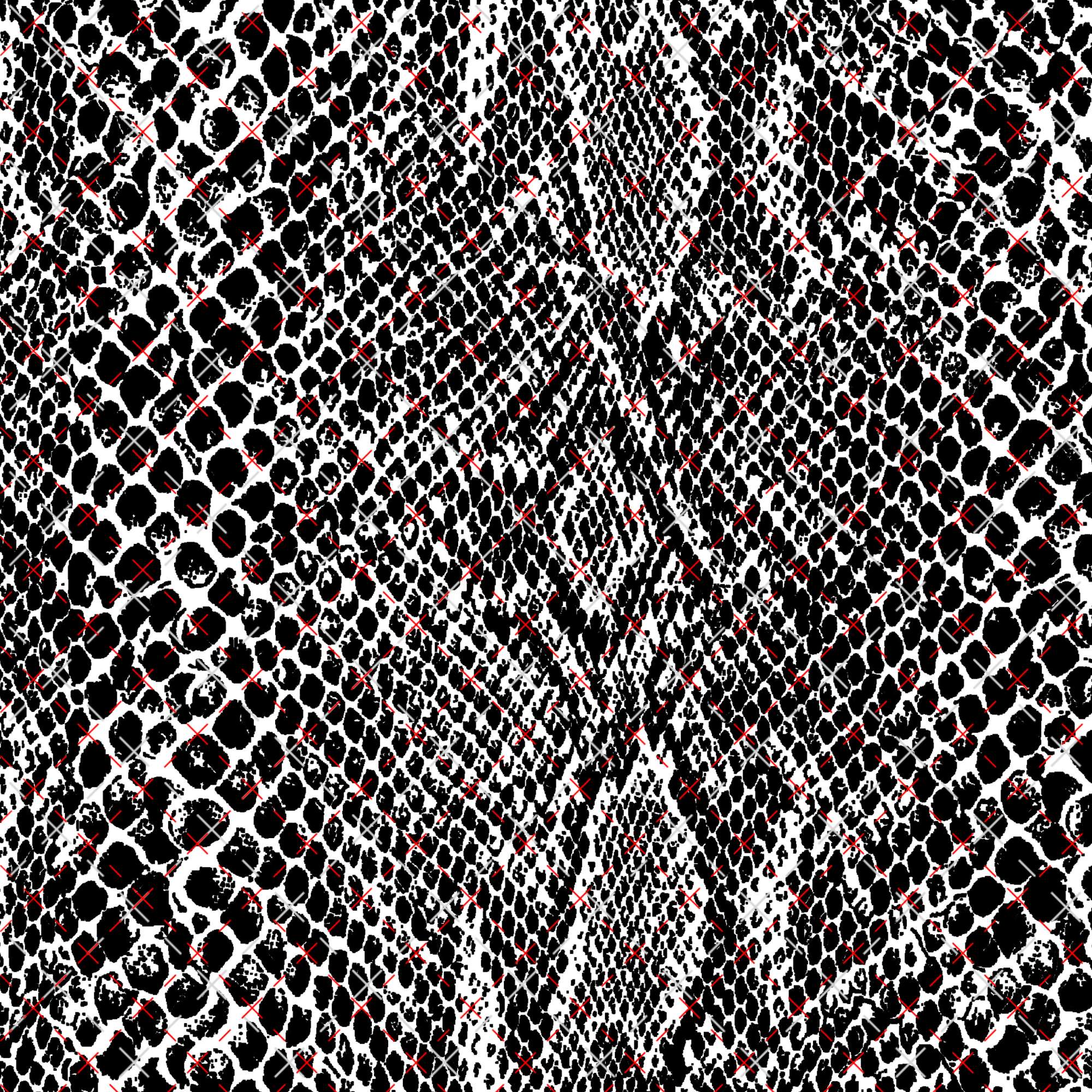 800/806 BLACK OR WHITE SNAKE - 216 Tumblers