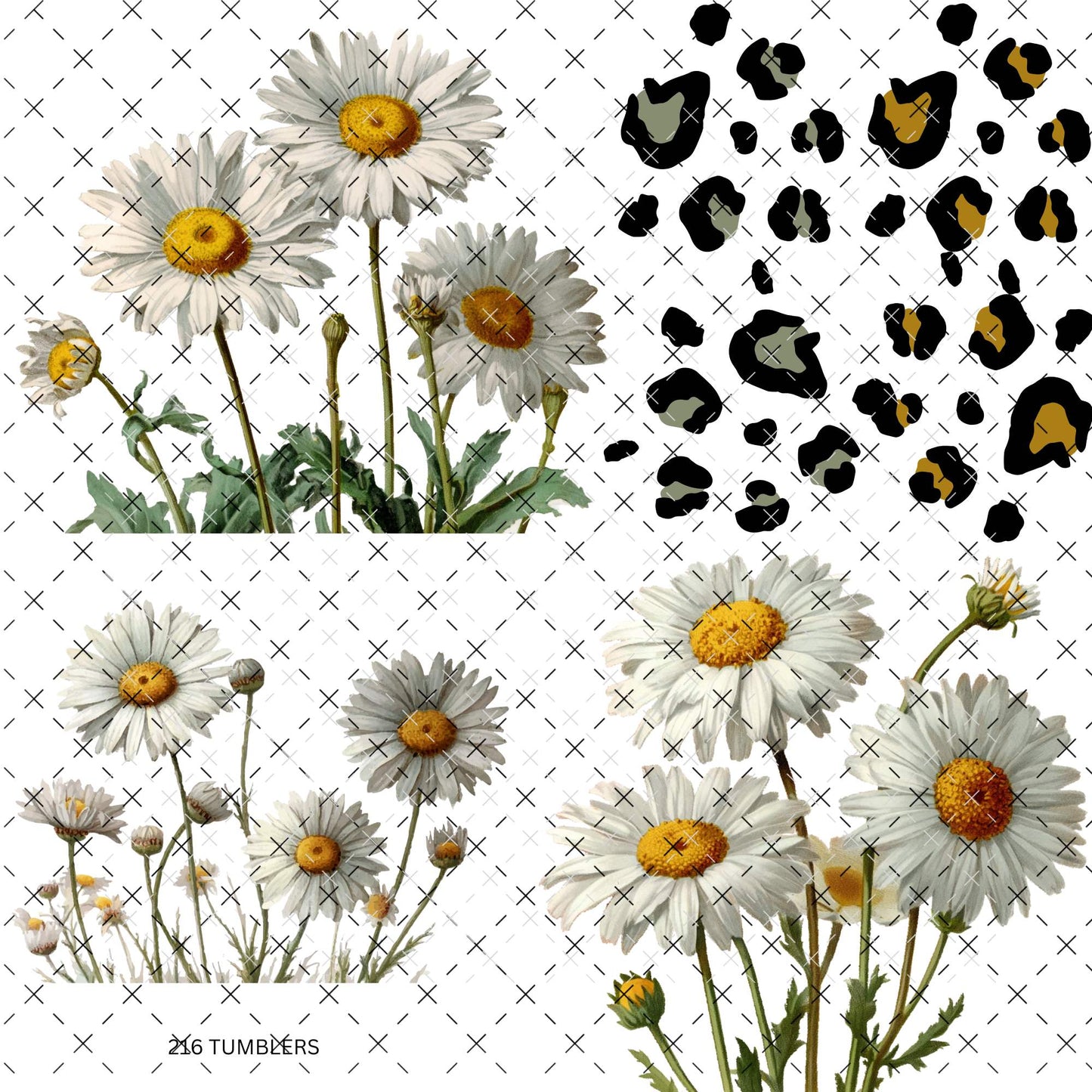 804 DAISY BUNDLES