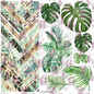 253 BRAIDED MONSTERA