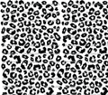 904 BLACK LEOPARD SPOTS - 216 Tumblers