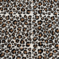 913 OLD SCHOOL BROWN LEOPARD SHEET - 216 Tumblers