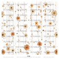 956 FLORAL STRANDS - 216 Tumblers