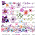 988 SUMMER FLOWERS - 216 Tumblers