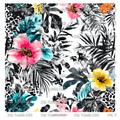 995 MONSTERA FOREST - 216 Tumblers