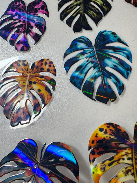 296 LARGE MONSTERA HOLO