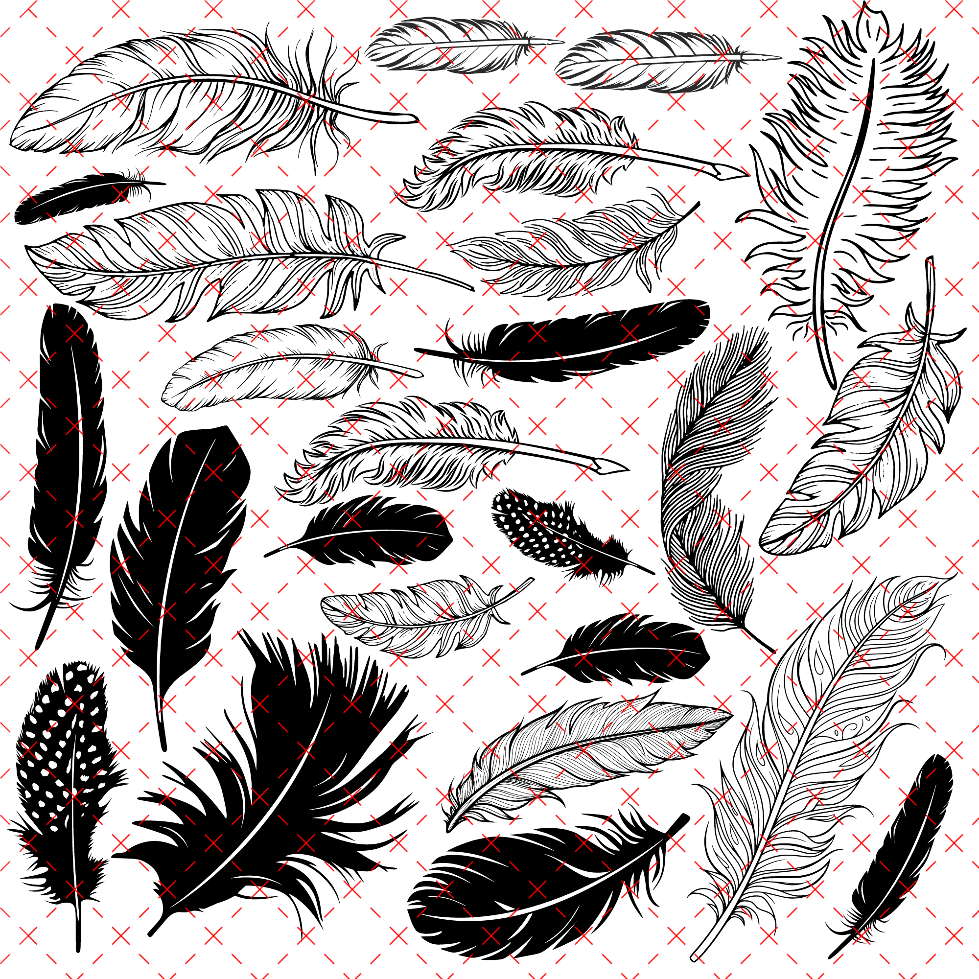 10X10 OUTLINES  #15 FEATHERS