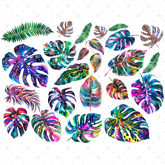 #20-162 MONSTERA 4