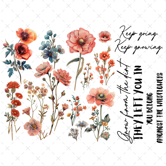 #20-155 WILD POPPIES