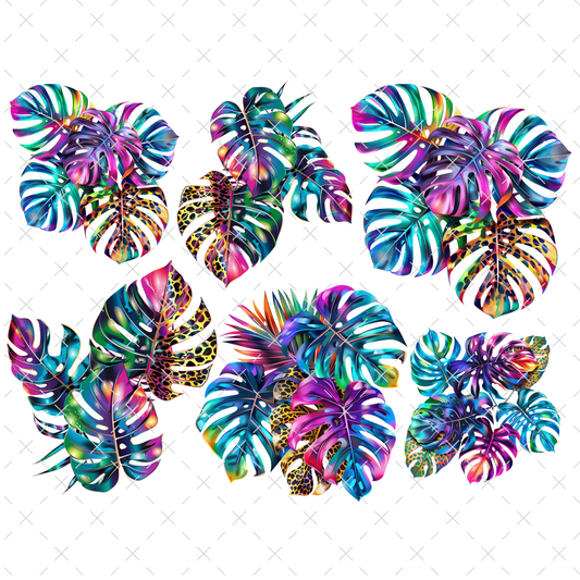 #20-161 MONSTERA 3