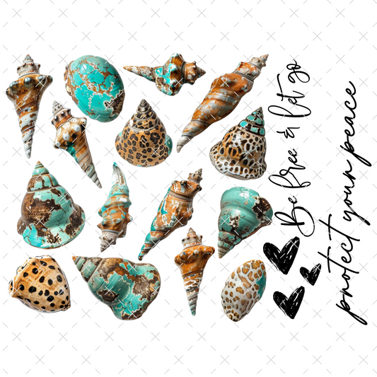 20 165 SEA SHELLS