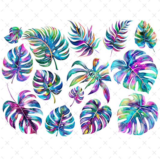 #20-160 MONSTERA 2
