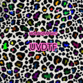 HOLOGRAPHIC - NEON LEOPARD - 216 Tumblers
