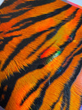 v549 HOLOGRAPHIC TIGER - 216 Tumblers