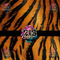 V549 TIGER PRINT - 216 Tumblers