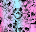 W118 PINK/BLUE SKULL - 216 Tumblers