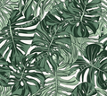 W126 MONSTERA - 216 Tumblers